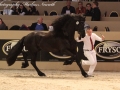 IMG_2742-028_Keimpe_vd_Demro_Stables