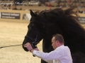 IMG_2754-028_Keimpe_vd_Demro_Stables