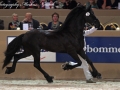 IMG_5694-029-Haike van Hilberati