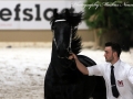 IMG_6090-101-Wilbert