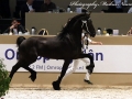 IMG_6381-162-Wate-van-de-Iits