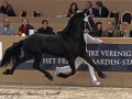 IMG_6035-133-Johan-Friso-P.