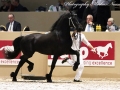 IMG_6220-135-Wiard-van-Marijke-Z