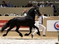 IMG_6242-135-Wiard-van-Marijke-Z