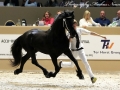 IMG_6248-135-Wiard-van-Marijke-Z