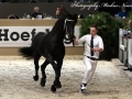 IMG_6311-144-Yme-fan-Hyllested-Ostergaard
