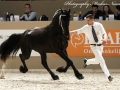 IMG_7467-220-Teunis-van-Hilberati