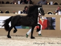 IMG_6411_273-Jules-van-de-Waelhoeve