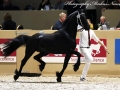 IMG_6594-292-Wessel-van-d-Oever