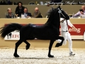 IMG_6603-292-Wessel-van-d-Oever