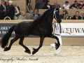 IMG_1060_302-Tjardo-V.