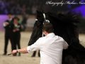 IMG_1633-Imp-2016