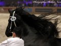IMG_1664-Imp-2016