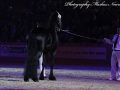 IMG_2026-Imp-2016