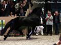 IMG_2164-Imp-2016