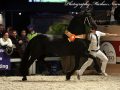 IMG_2456-Imp-2016
