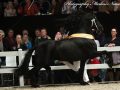 IMG_2504-Imp-2016