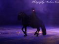 IMG_4694-Imp-2016