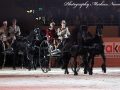 IMG_4722-Imp-2016