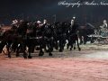 IMG_4762-Imp-2016
