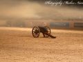 IMG_5229-Imp-2016