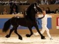 IMG_0513-Aan416