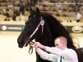 IMG_5798-Aan-416