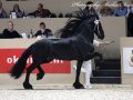 IMG_2431-Aarnold-471