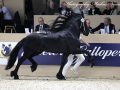 IMG_2436-Aarnold-471