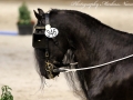 IMG_0869-Abe346