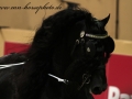 img_7043-abe346