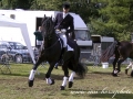 crw_1001-adel357