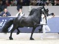 IMG_5548-Alger-522