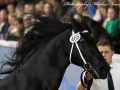 IMG_1807-Alke-468