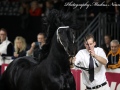 IMG_2288-Alke-468