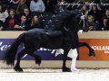 IMG_3720-Alke-468