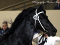 IMG_3749-Alke-468