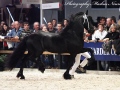 IMG_8739-Alke-468