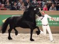 IMG_1627-Alwin-469