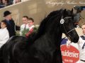 IMG_1633-Alwin-469