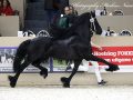 IMG_2323-Alwin-469