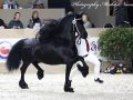 IMG_2363-Alwin-469