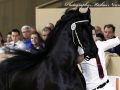 IMG_3813-Alwin-469