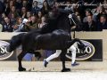 IMG_3824-Alwin-469