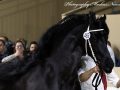 IMG_3848-Alwin-469