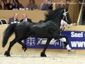 IMG_8710-Alwin-469