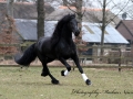 IMG_9165-Alwin469