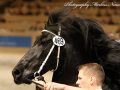 IMG_9195-Alwin-469