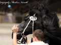 IMG_9231-Alwin-469
