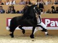 IMG_9640-Alwin-469